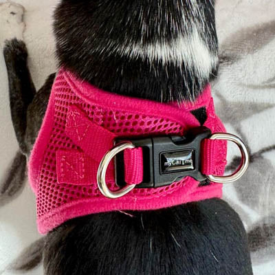 Tiny Trails Step In Air Mesh Puppy and Small Dog Harness in Hot Pink