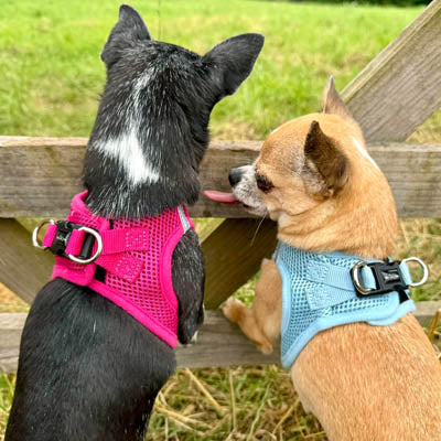 Tiny Trails Step In Air Mesh Puppy and Small Dog Harness in Hot Pink