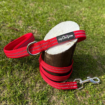 Reflective Webbing Lead with Neoprene Handle Red 15mm