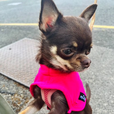 Tiny Toastie Water Repellent Fleece Dog Coat in Hot Pink