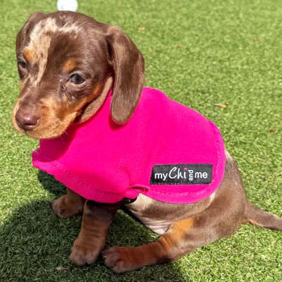 Tiny Toastie Water Repellent Fleece Dog Coat in Hot Pink
