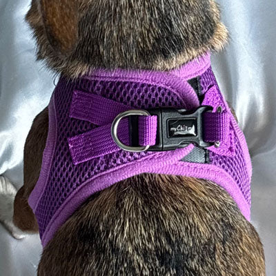 Step In Air Mesh Puppy and Small Dog Harness in Purple