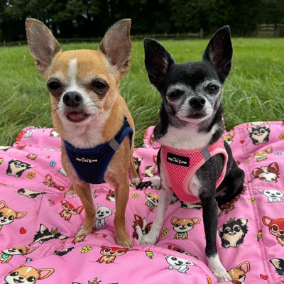 Tiny Trails Step In Air Mesh Puppy and Small Dog Harness in Pink