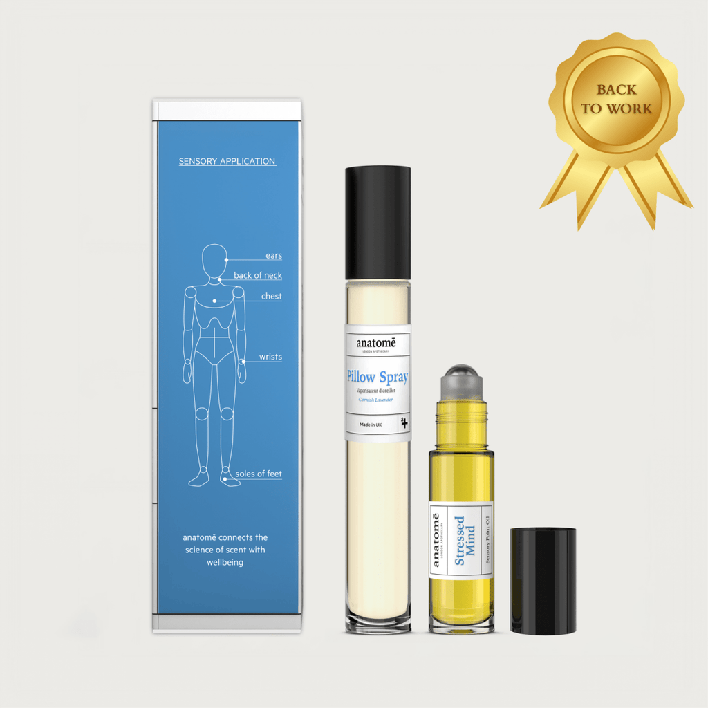 The Little Gift of Good Sleep Lavender Travel Set