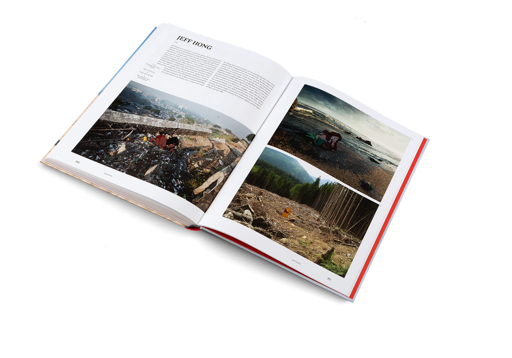 The Art of Protest Political Art and Activism