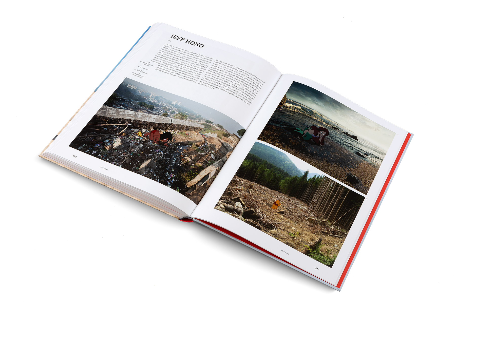 The Art of Protest Political Art and Activism