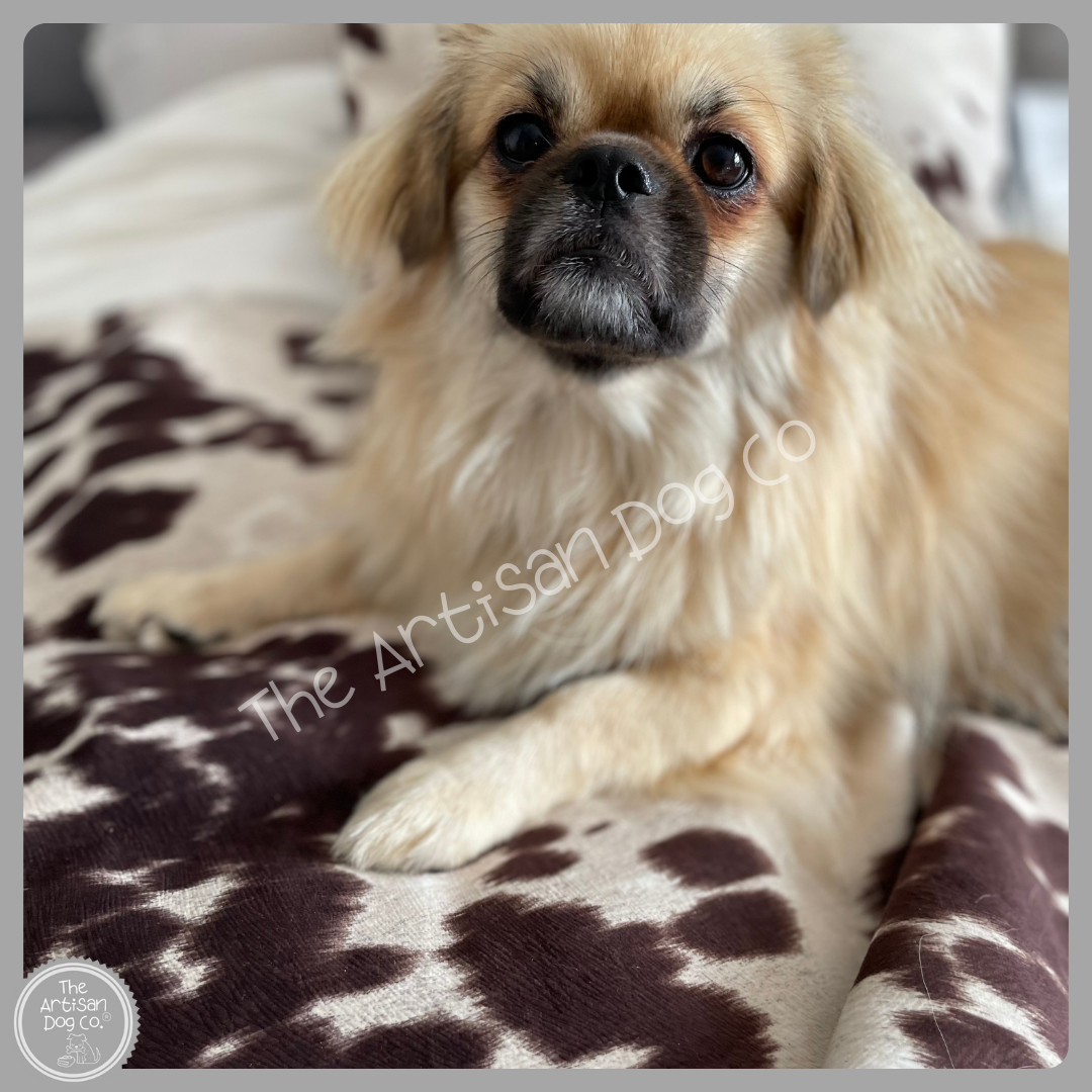 Luxury Handcrafted Faux Cow Hide Pet Blanket and Sofa Protector