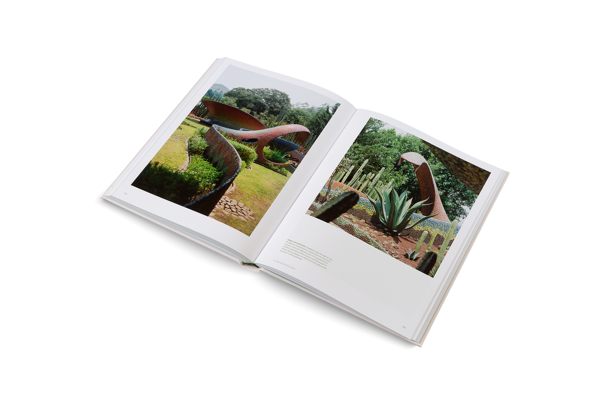 The Avant Gardens Collection