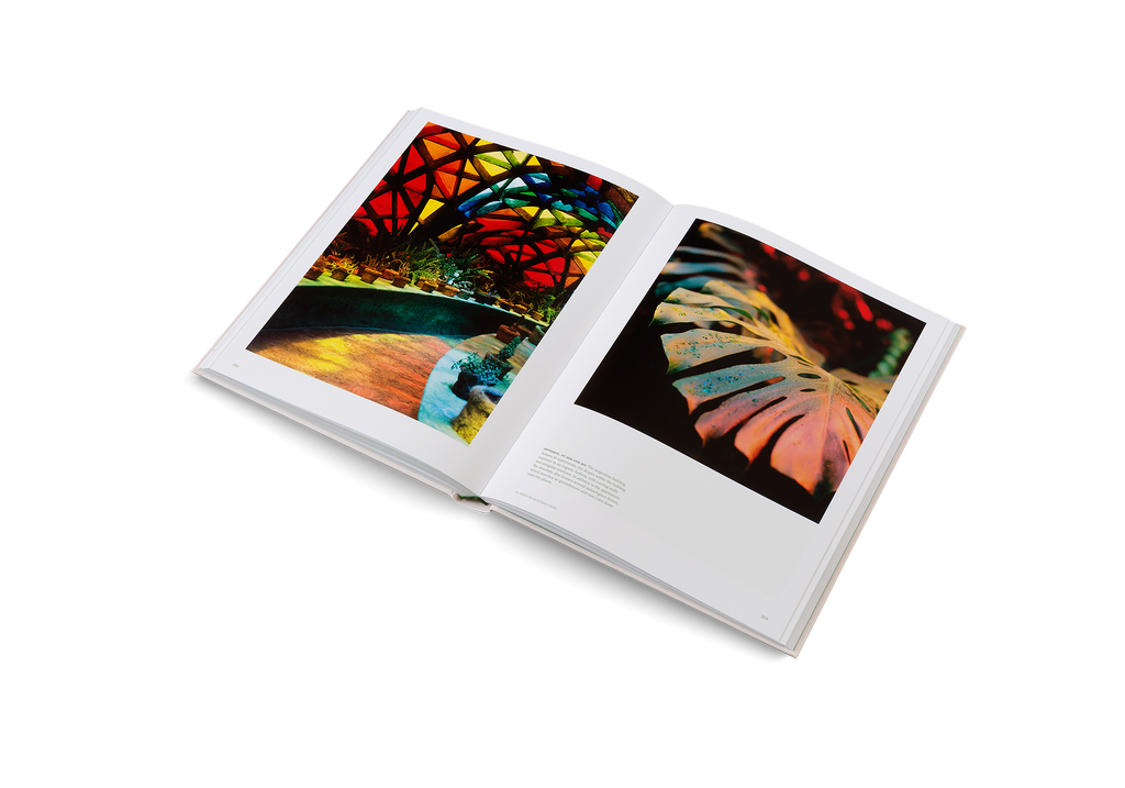 The Avant Gardens Collection