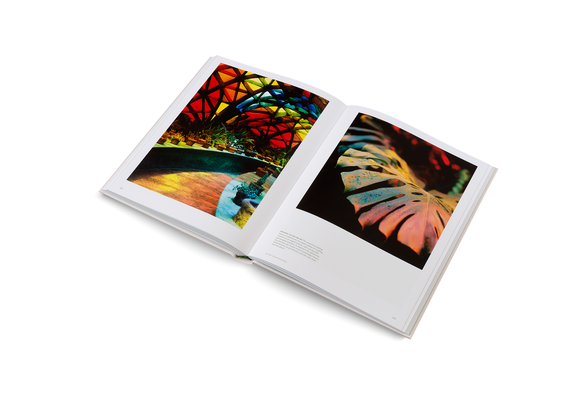 The Avant Gardens Collection