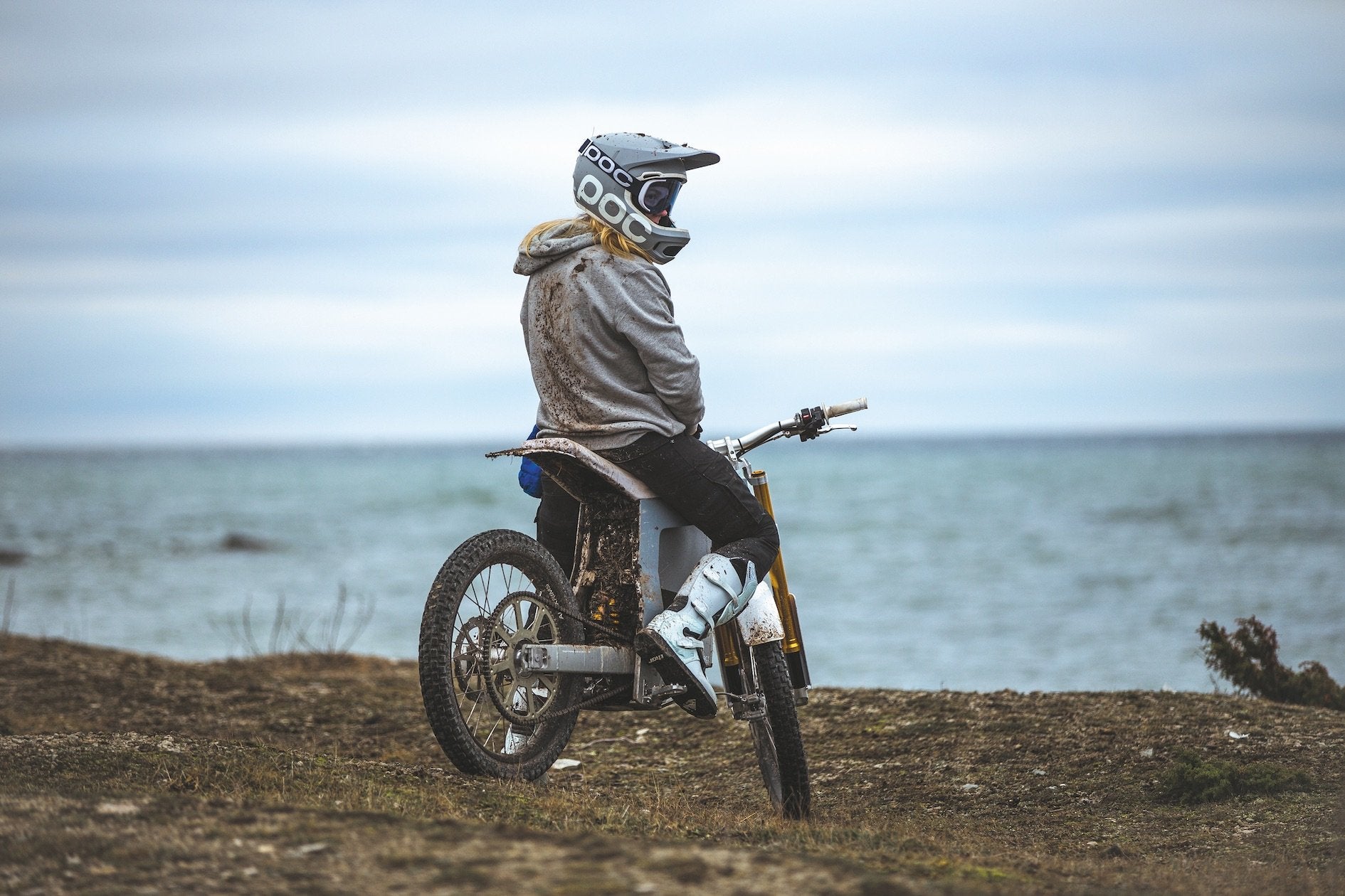 The Current Electric Vehicle Collection