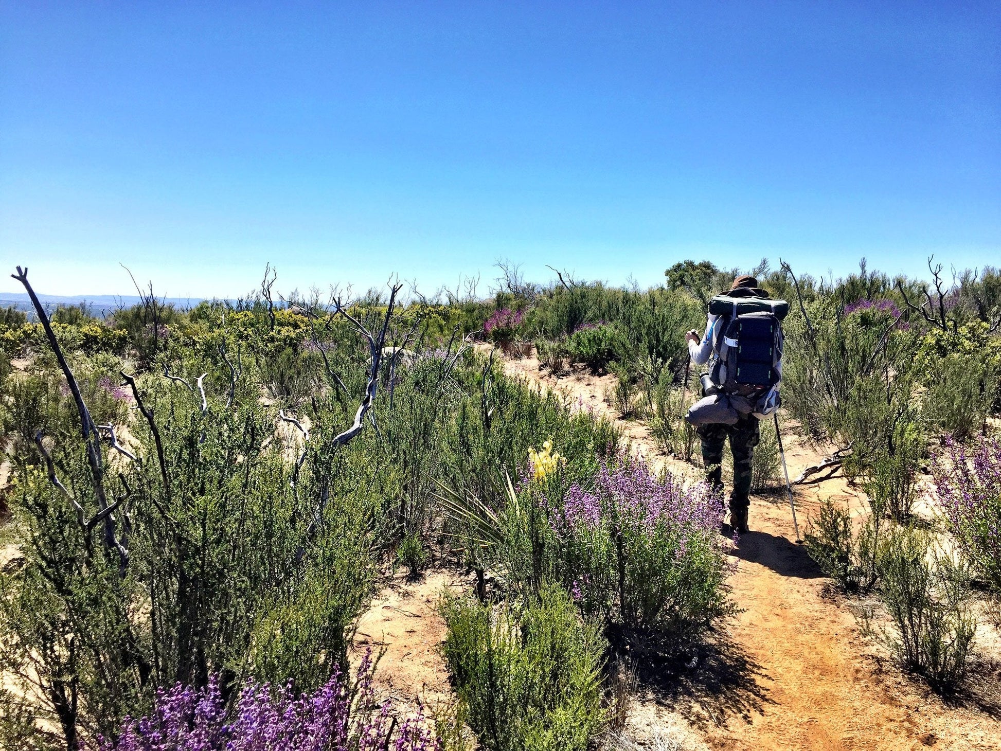 The Great Alone Adventure Guide