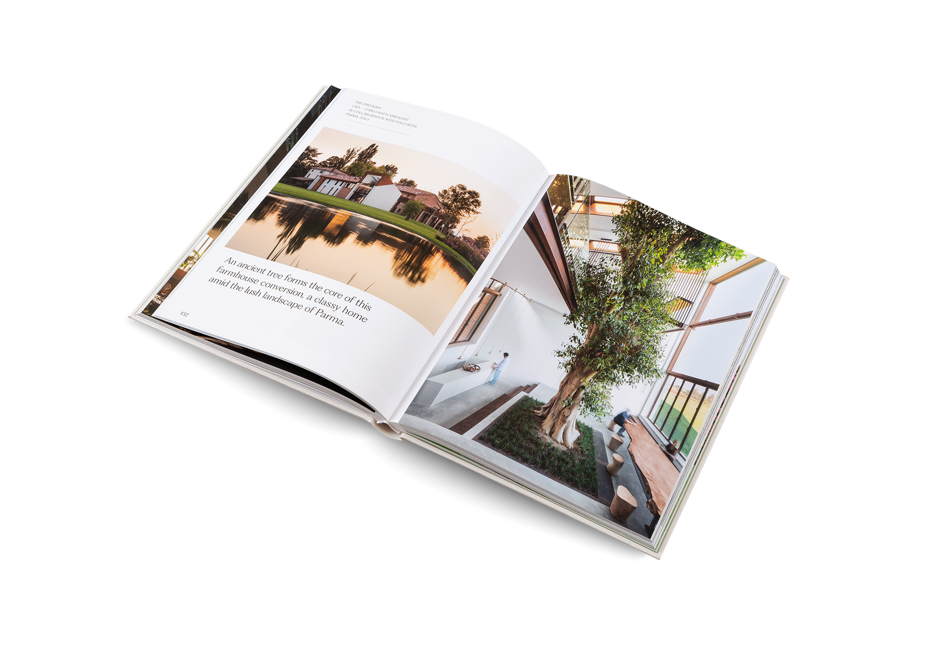 Natural Homes and Biophilic Architecture