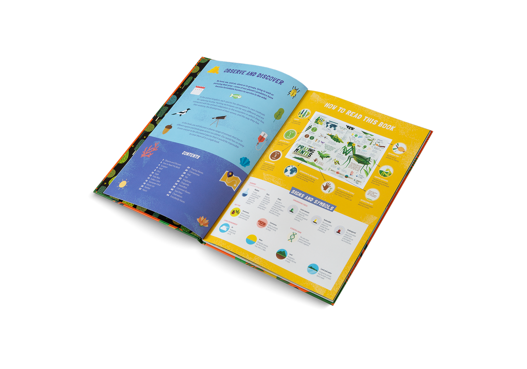 The Hunters Predators of the Animal Kingdom