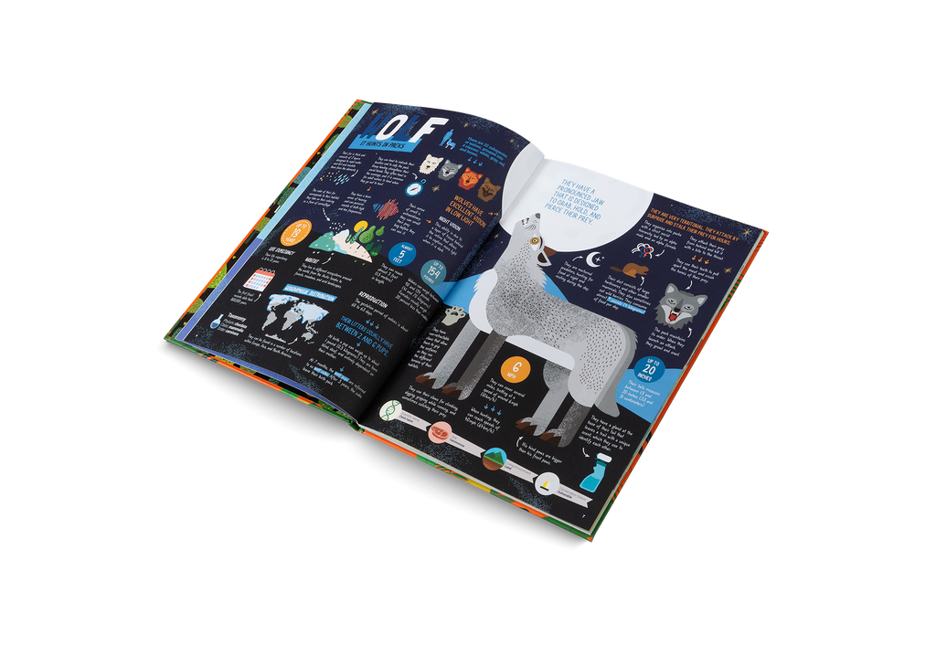 The Hunters Predators of the Animal Kingdom