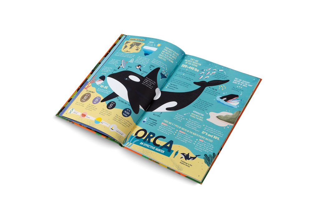 The Hunters Predators of the Animal Kingdom