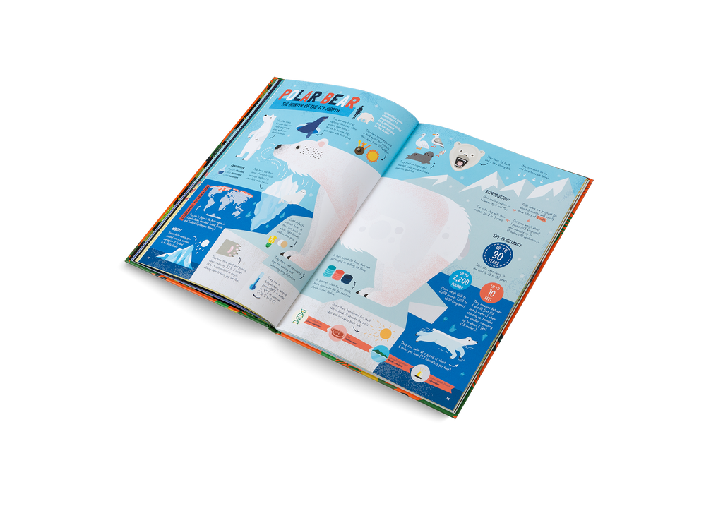 The Hunters Predators of the Animal Kingdom