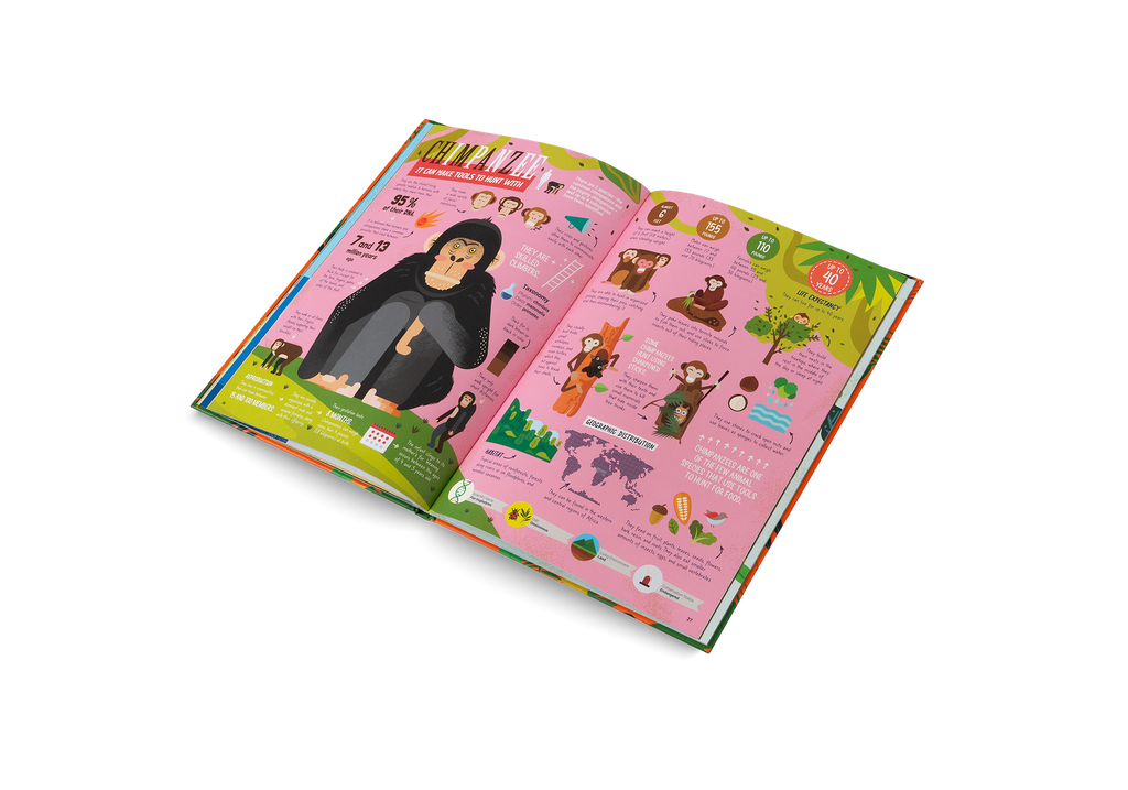 The Hunters Predators of the Animal Kingdom