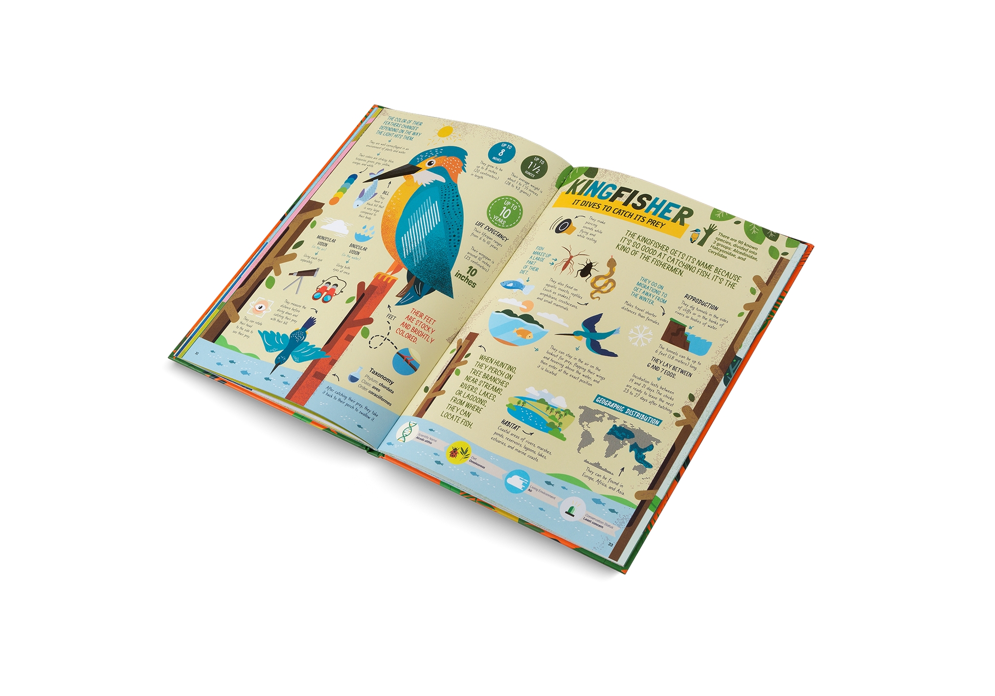 The Hunters Predators of the Animal Kingdom