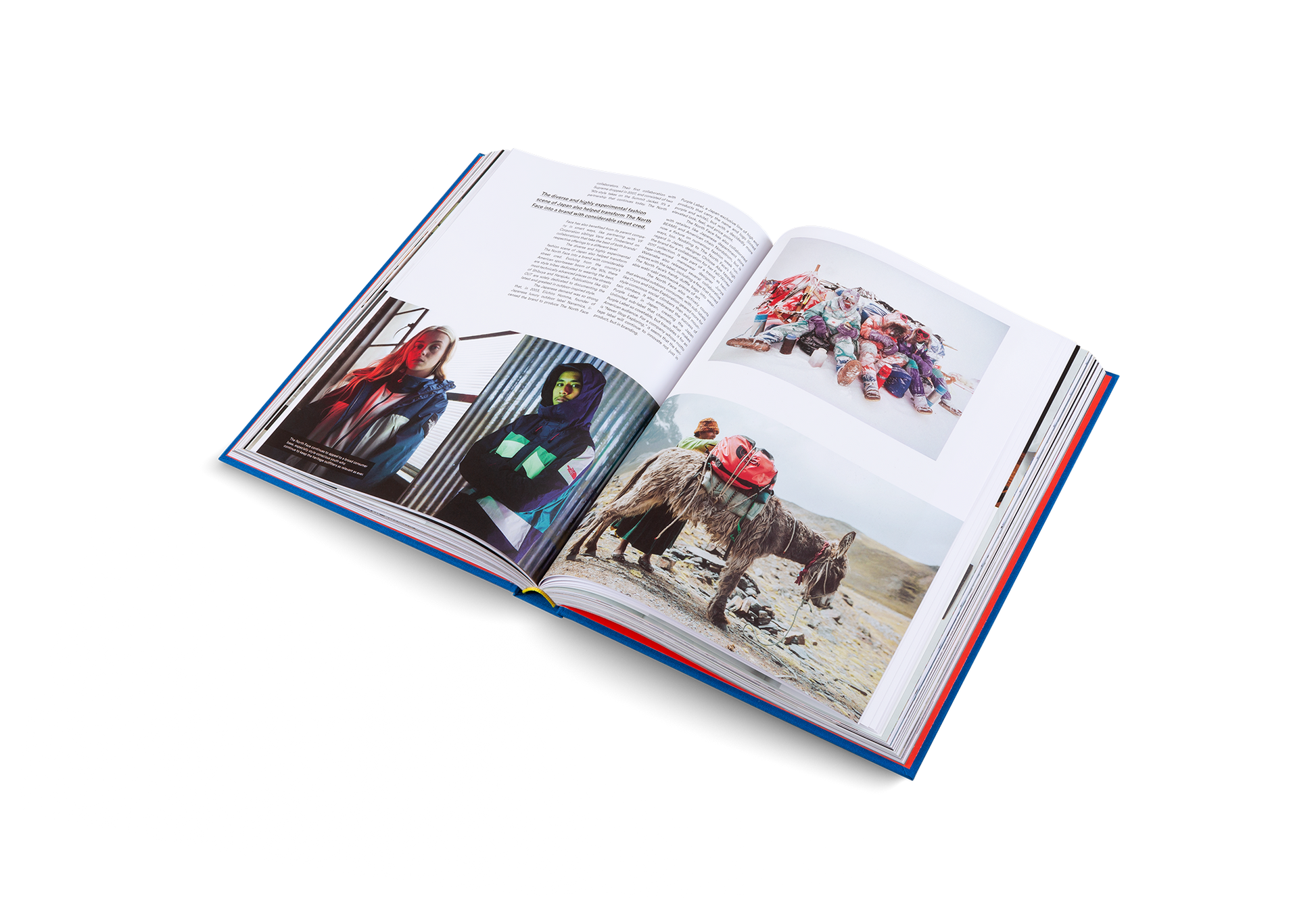 Street Fashion and Culture Guide Updated Edition