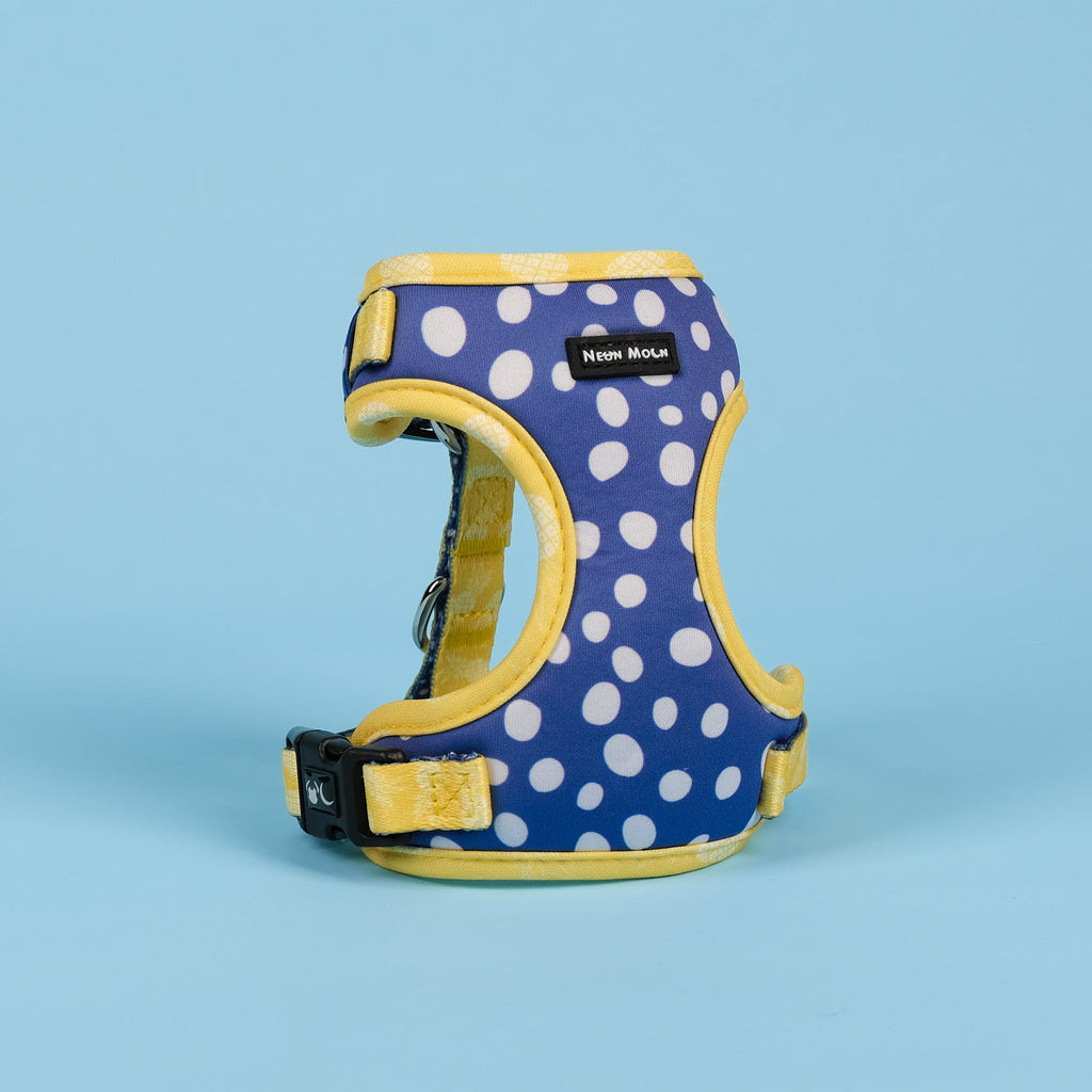 Minnie Mesh Harness in Blue Polka Dot and Yellow Pineapple