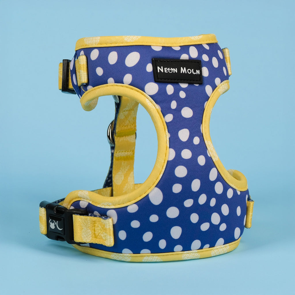 Minnie Mesh Harness in Blue Polka Dot and Yellow Pineapple