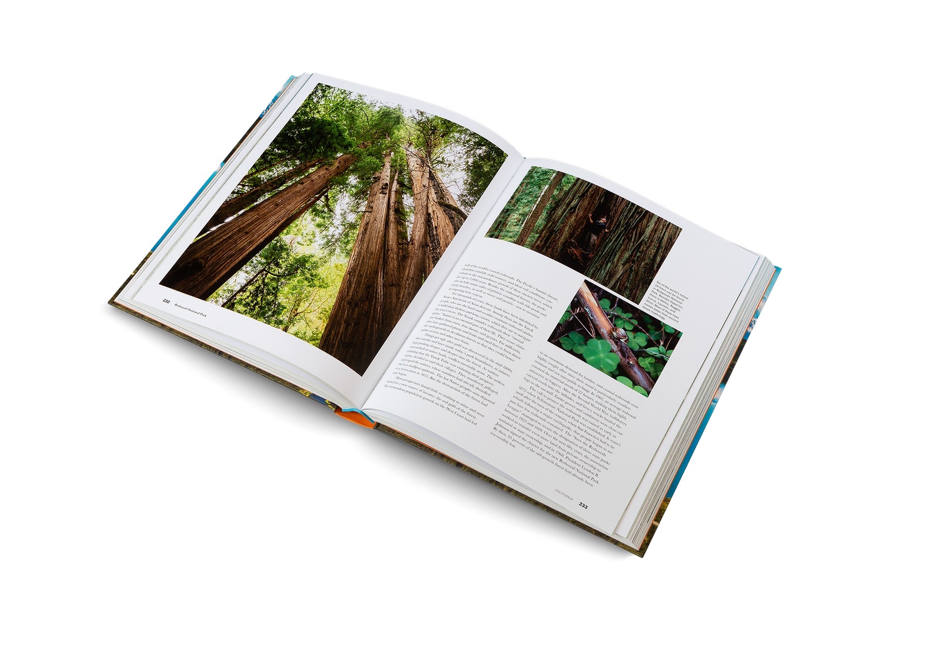 Trails and Secrets from the National Parks of the United States