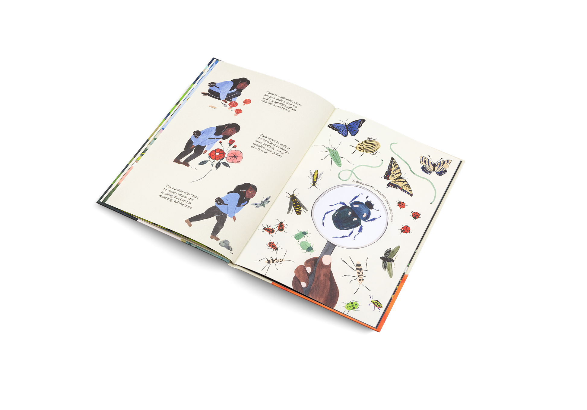 The Path: A Story About Finding Your Way