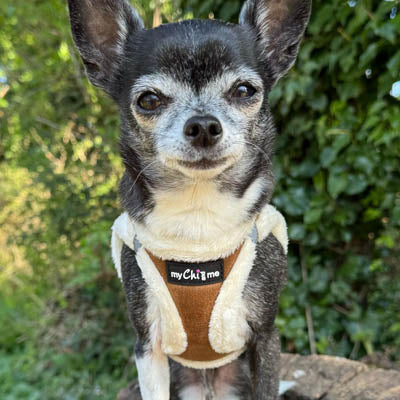 Step In Soft Touch Suede Faux Fur Lined Puppy and Small Dog Harness Mocha