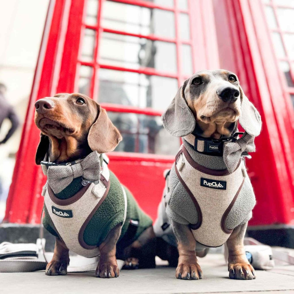 Tweed Adjustable Harness in Brown