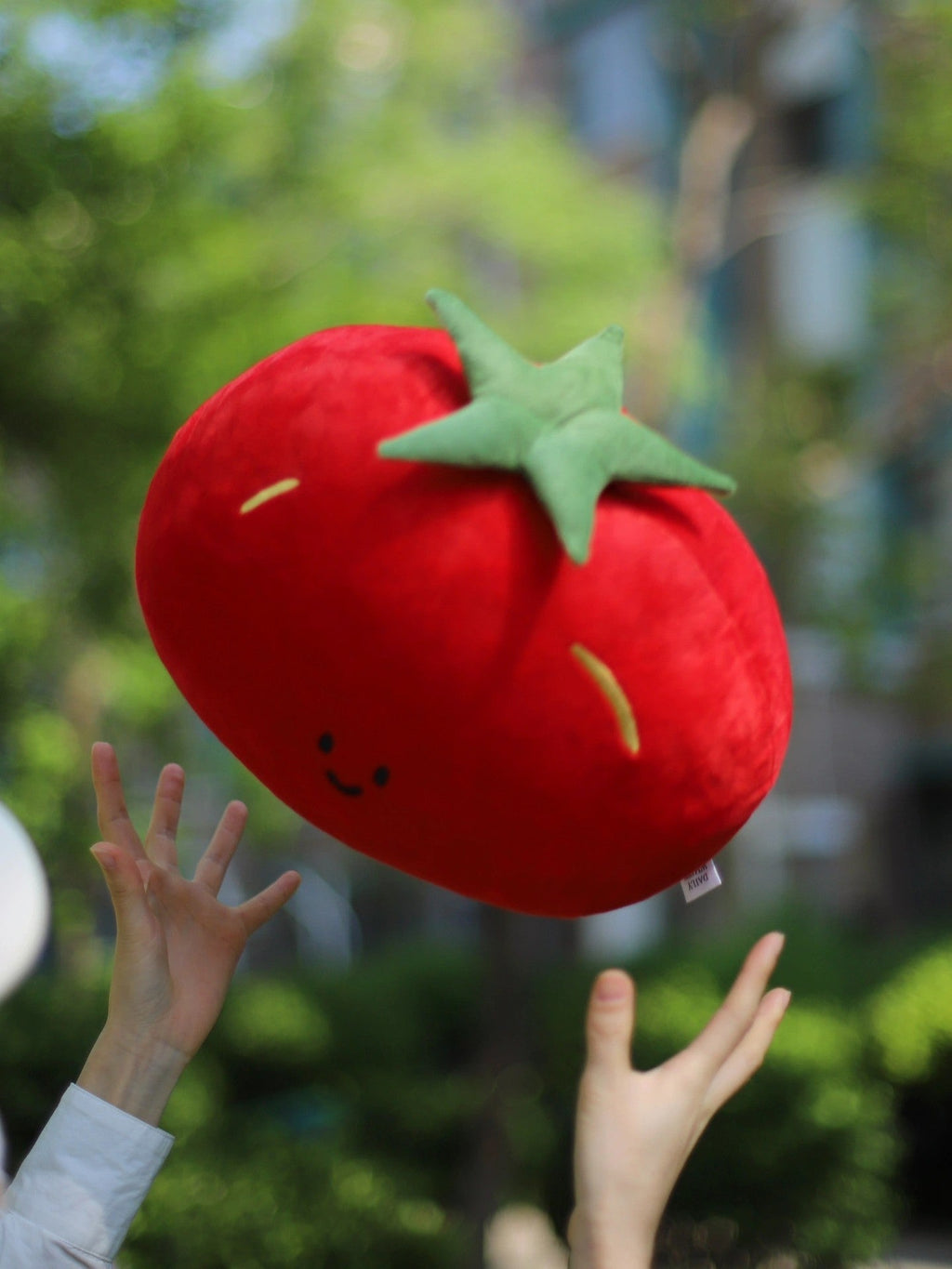 Tomato Plush Pillow in Red and Green