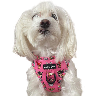 Signature Pink Chihuahua Print Small Dog Harness