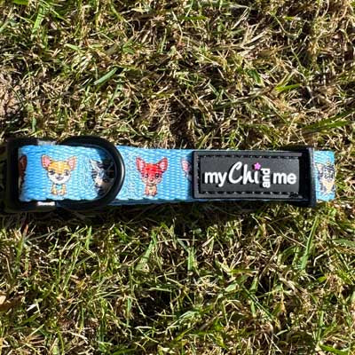 Blue Chihuahua Print Collar Extra Small