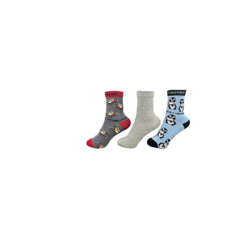 Organic Cotton Kids Socks Bundle with Penguins, Robins and School Socks