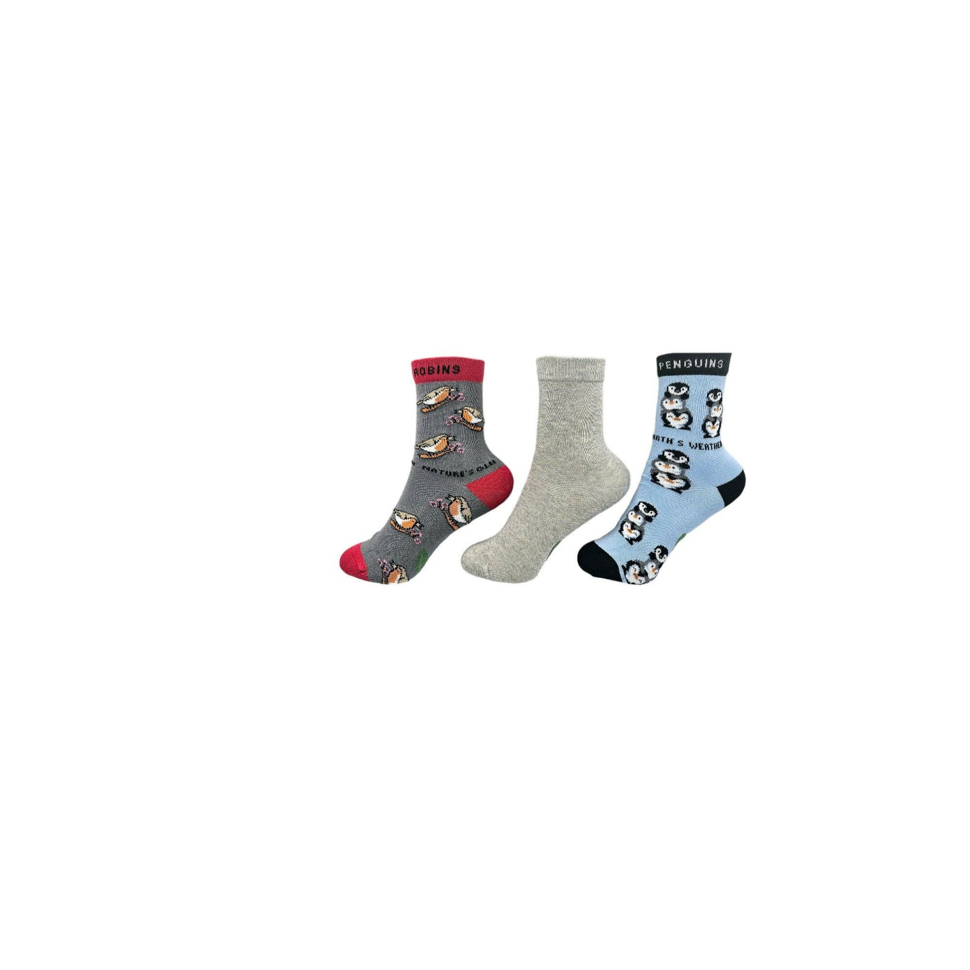 Organic Cotton Kids Socks Bundle with Penguins, Robins and School Socks