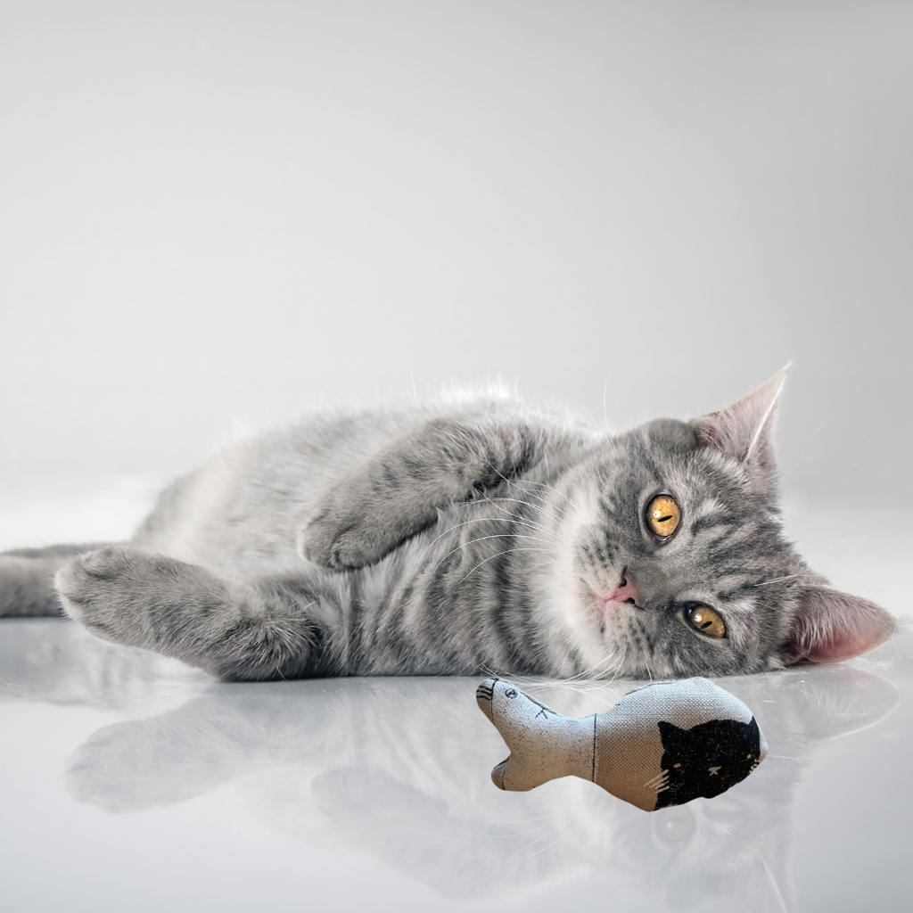 Fish Shaped Cat Toy with Natural Catnip