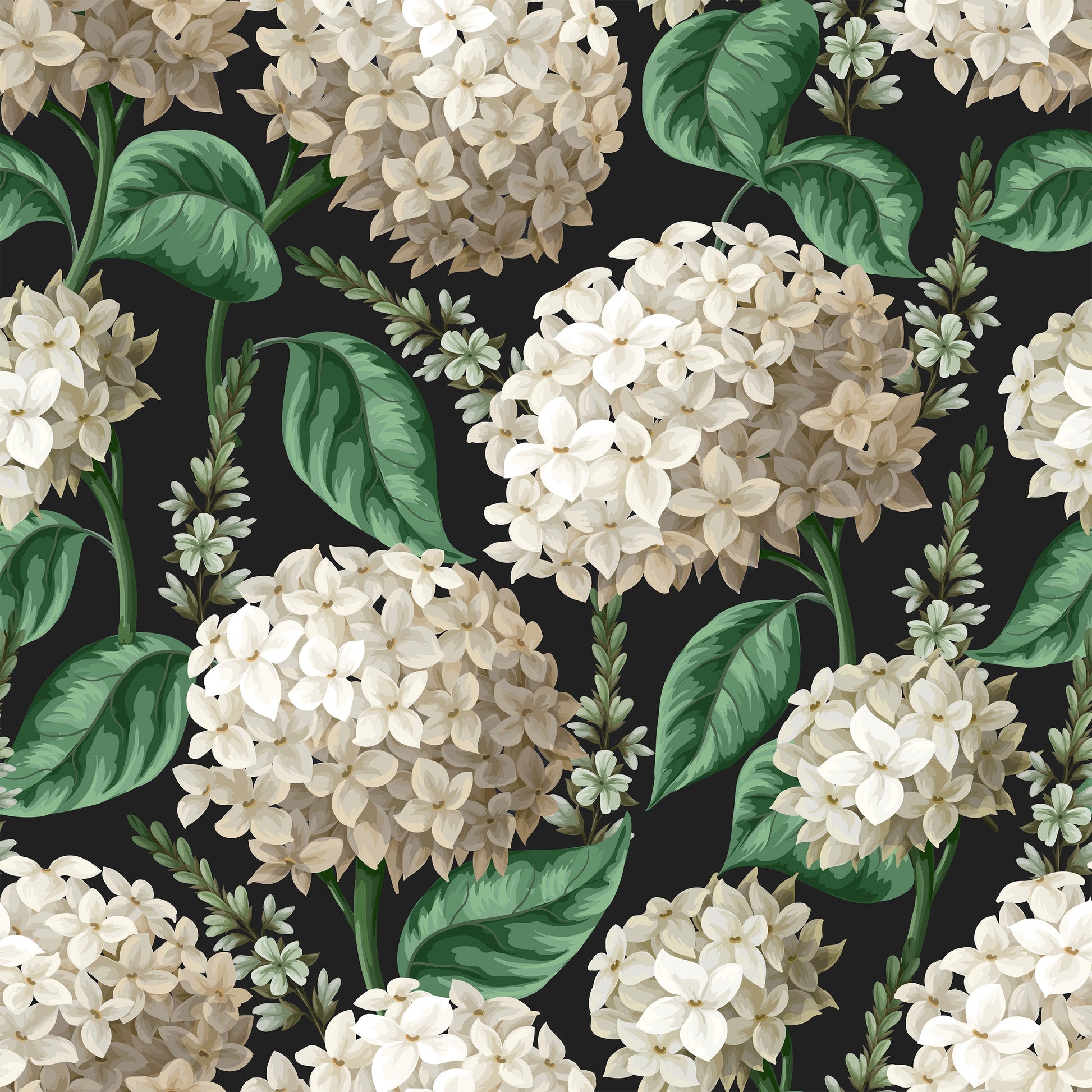 Vedder Hydrangea Wallpaper