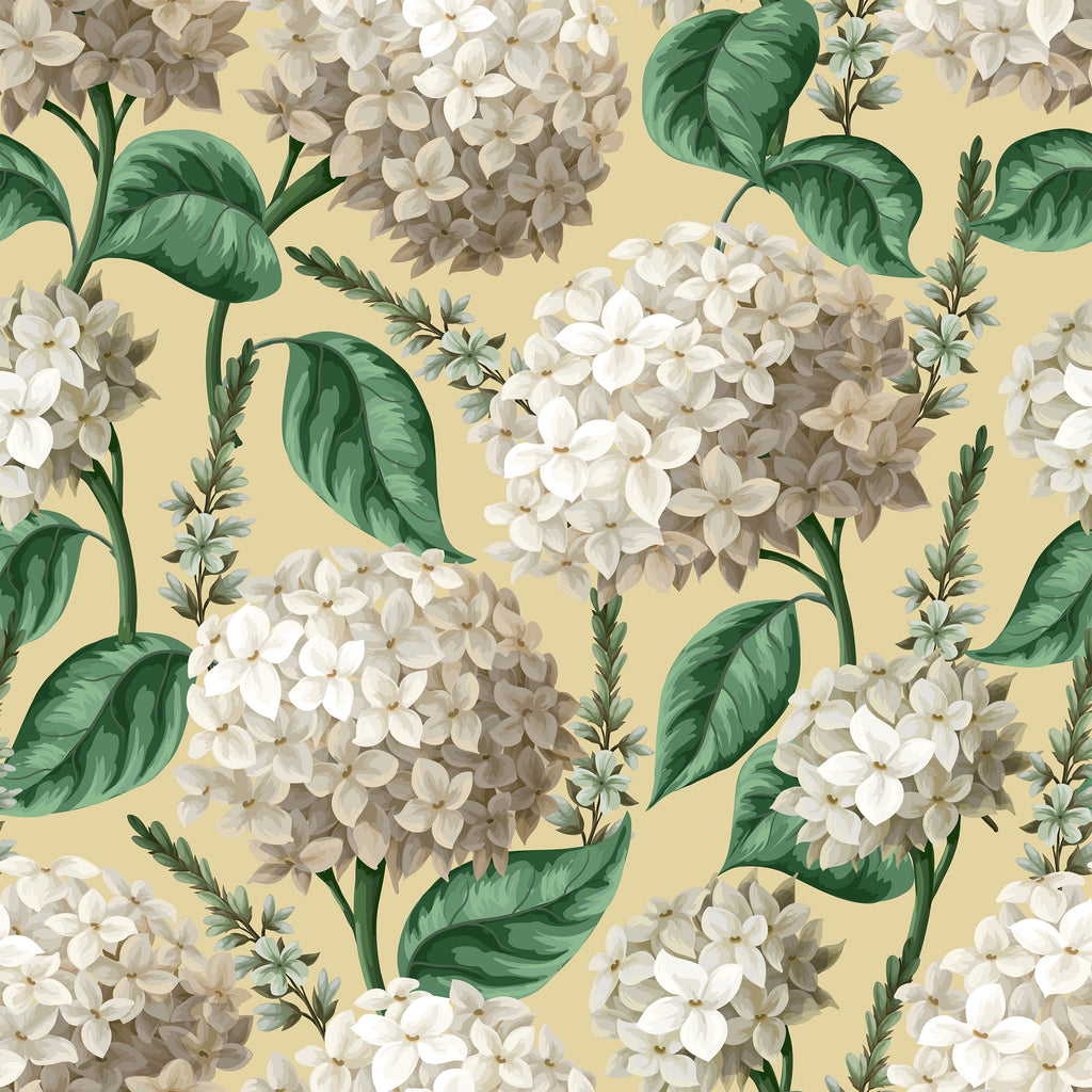 Vedder Hydrangea Wallpaper