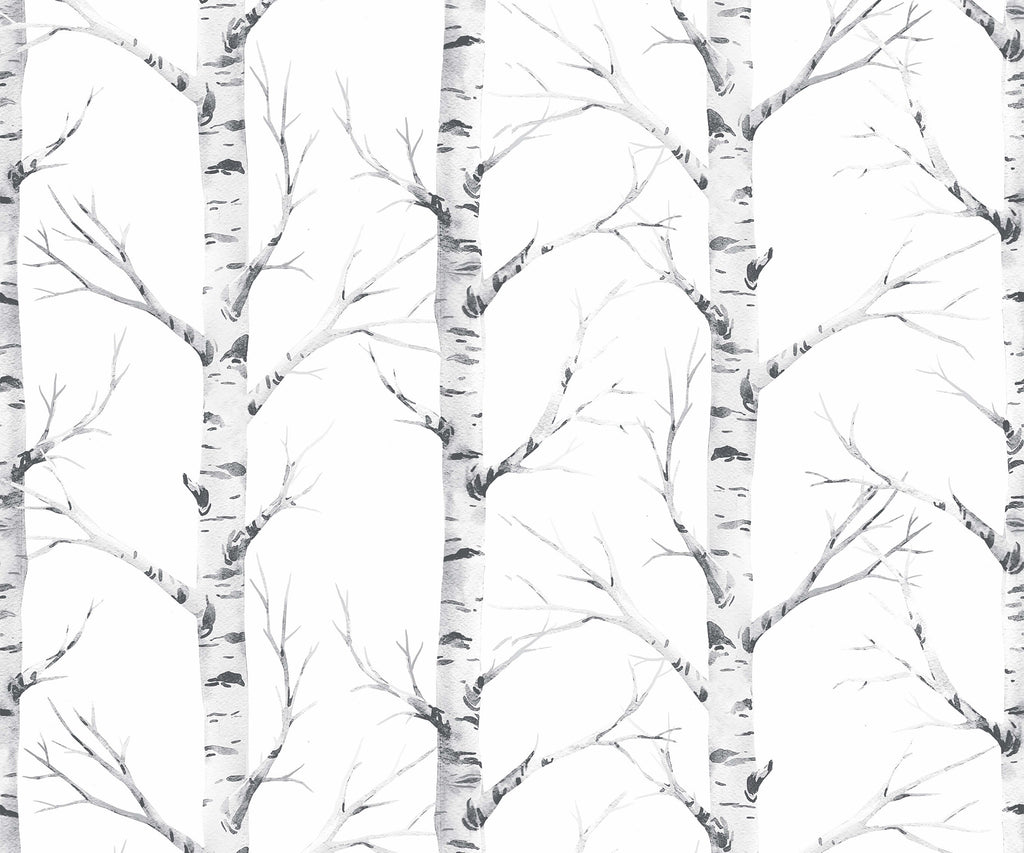 Birch Forest Wallpaper