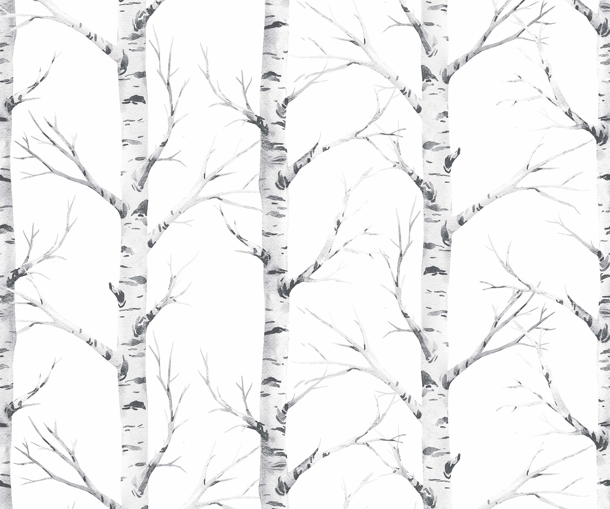 Birch Forest Wallpaper