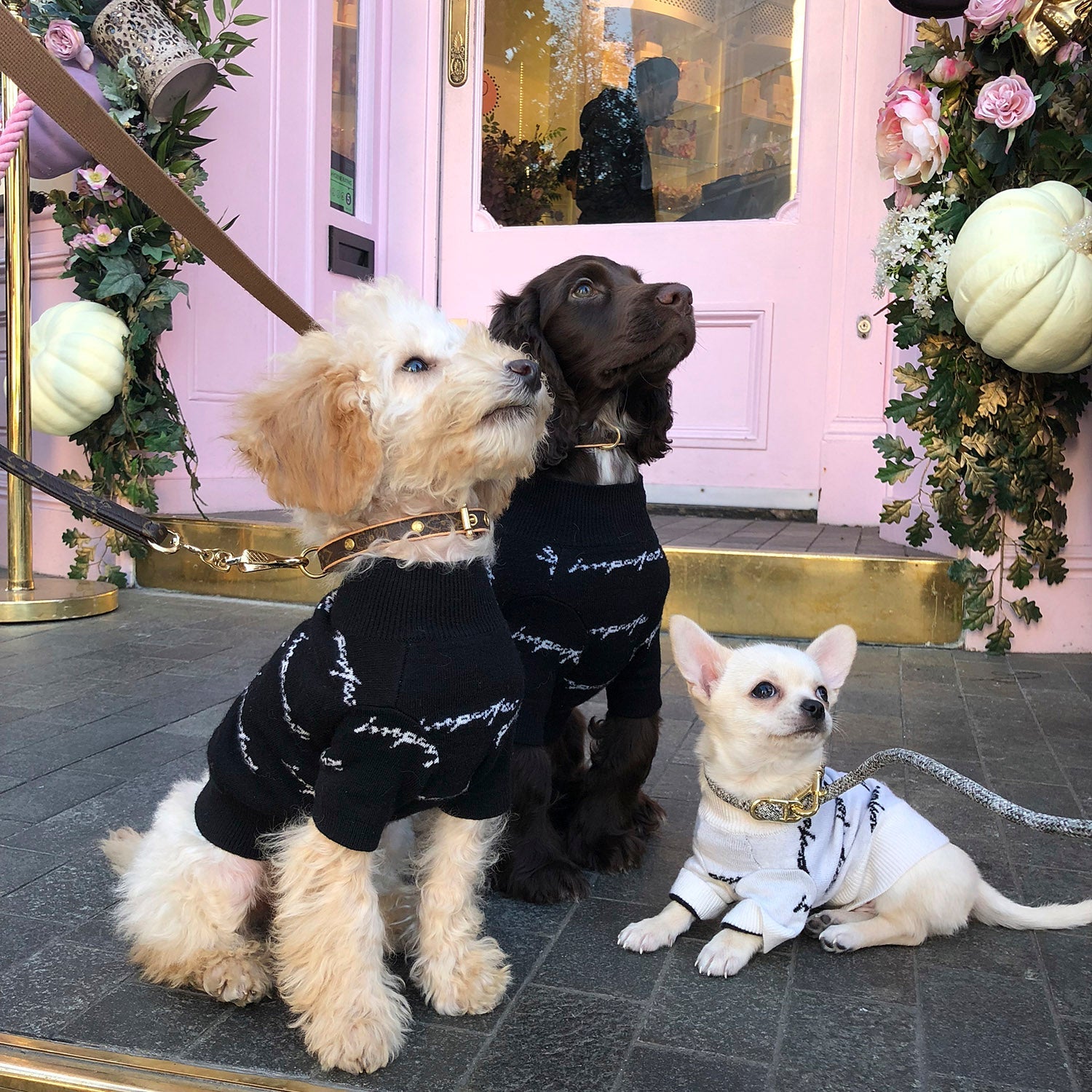 Jacquard Logo Jumper in 4 Colours