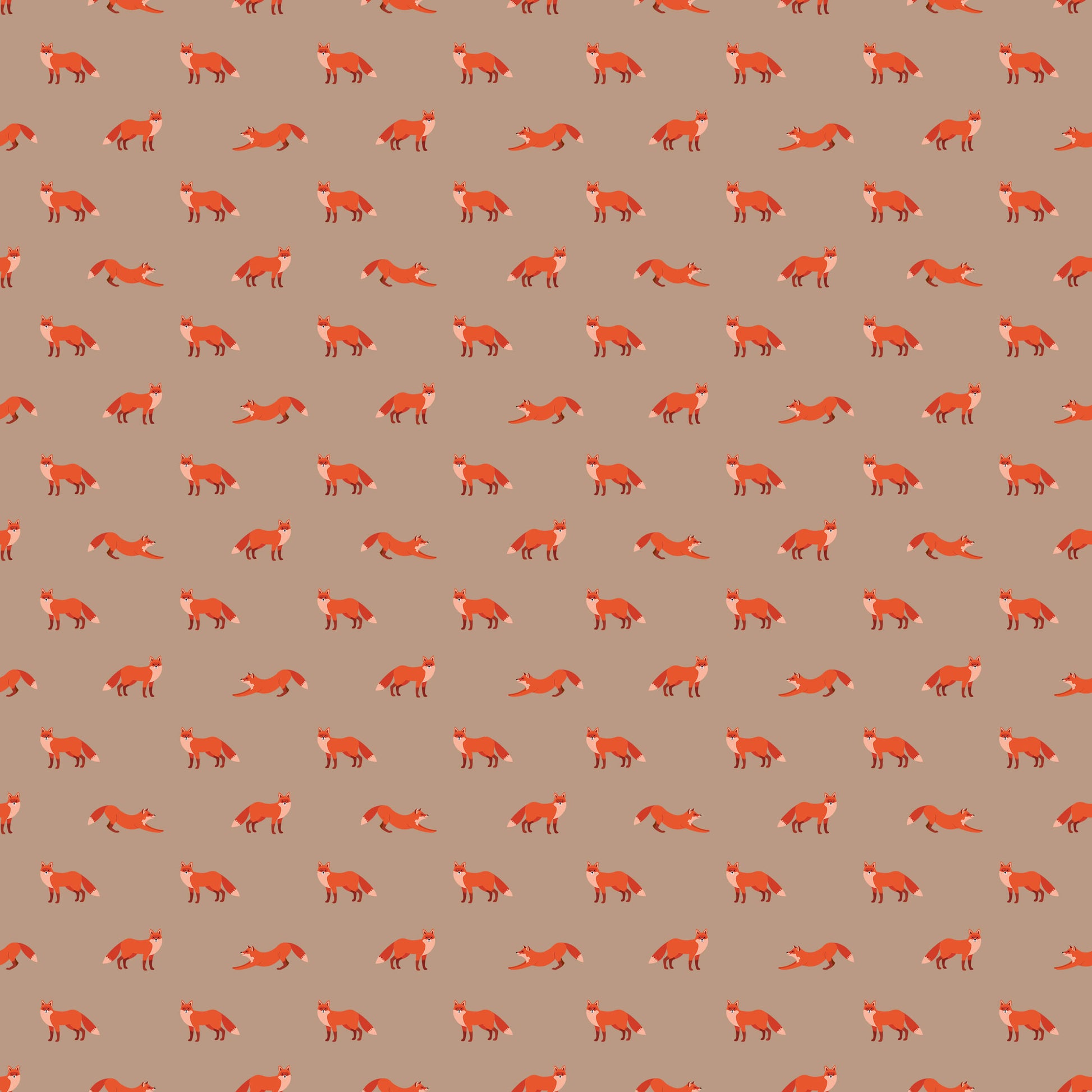 Cute Fox Wallpaper in Light and Dark