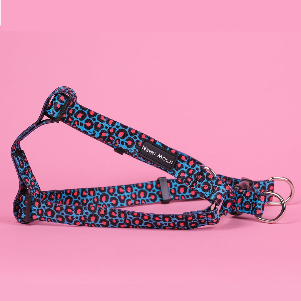 Willow Step In Harness Leopard Print Blue