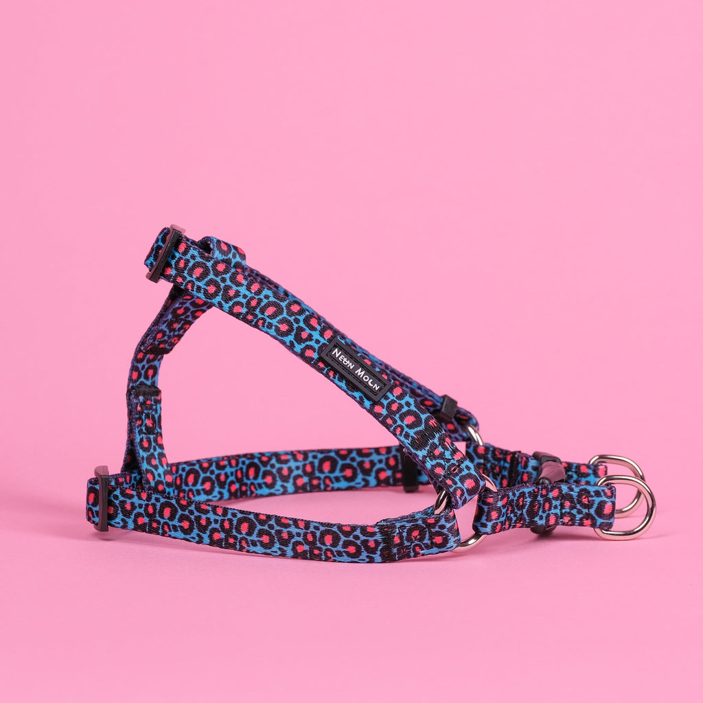 Willow Step In Harness Leopard Print Blue