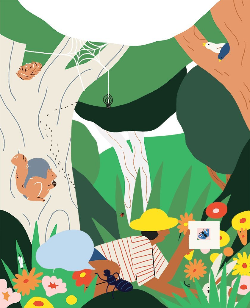 Let's Play Outdoors Book for Children