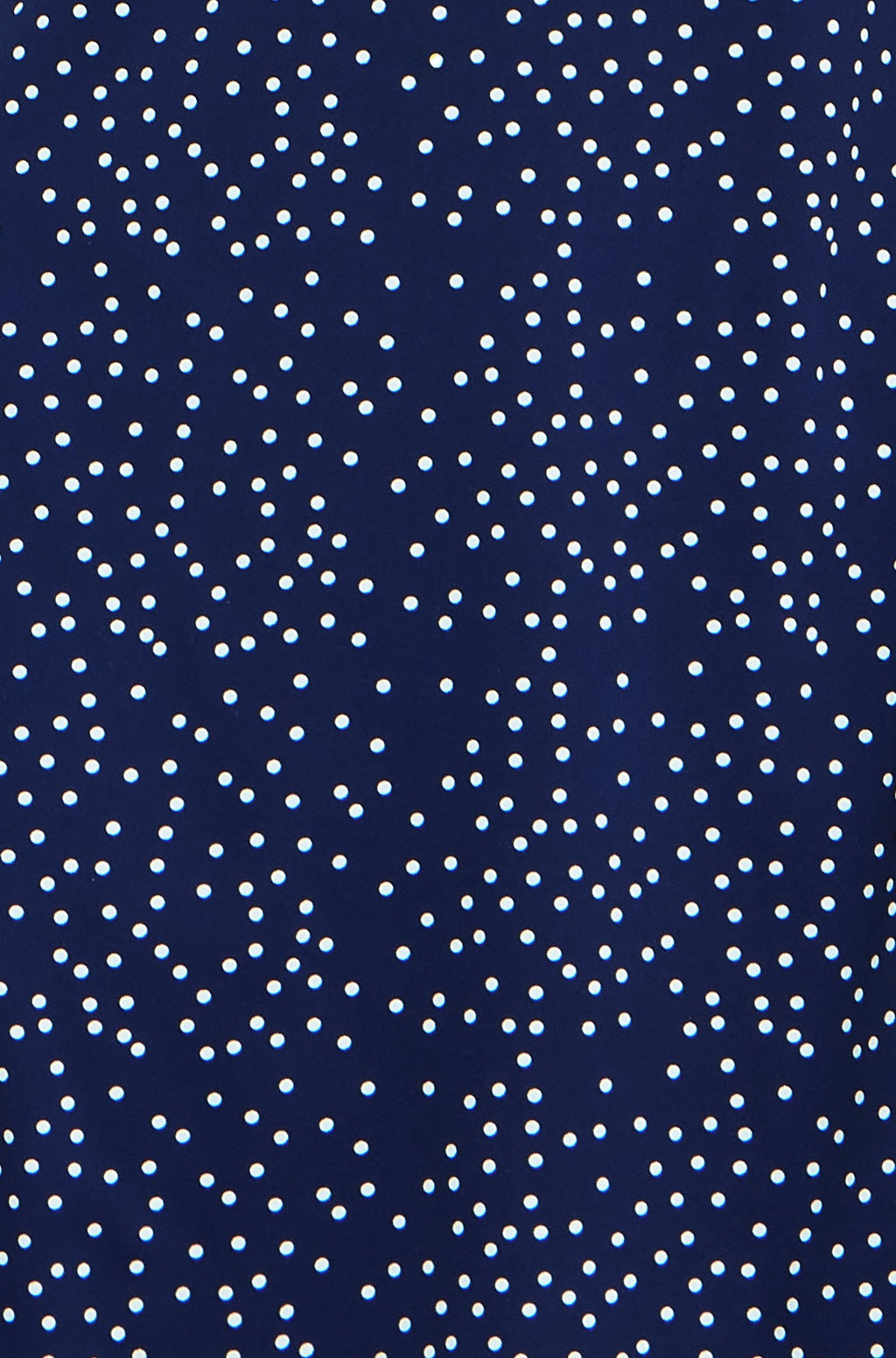 Yumi Navy Spot Print Lace Trim Skater Dress