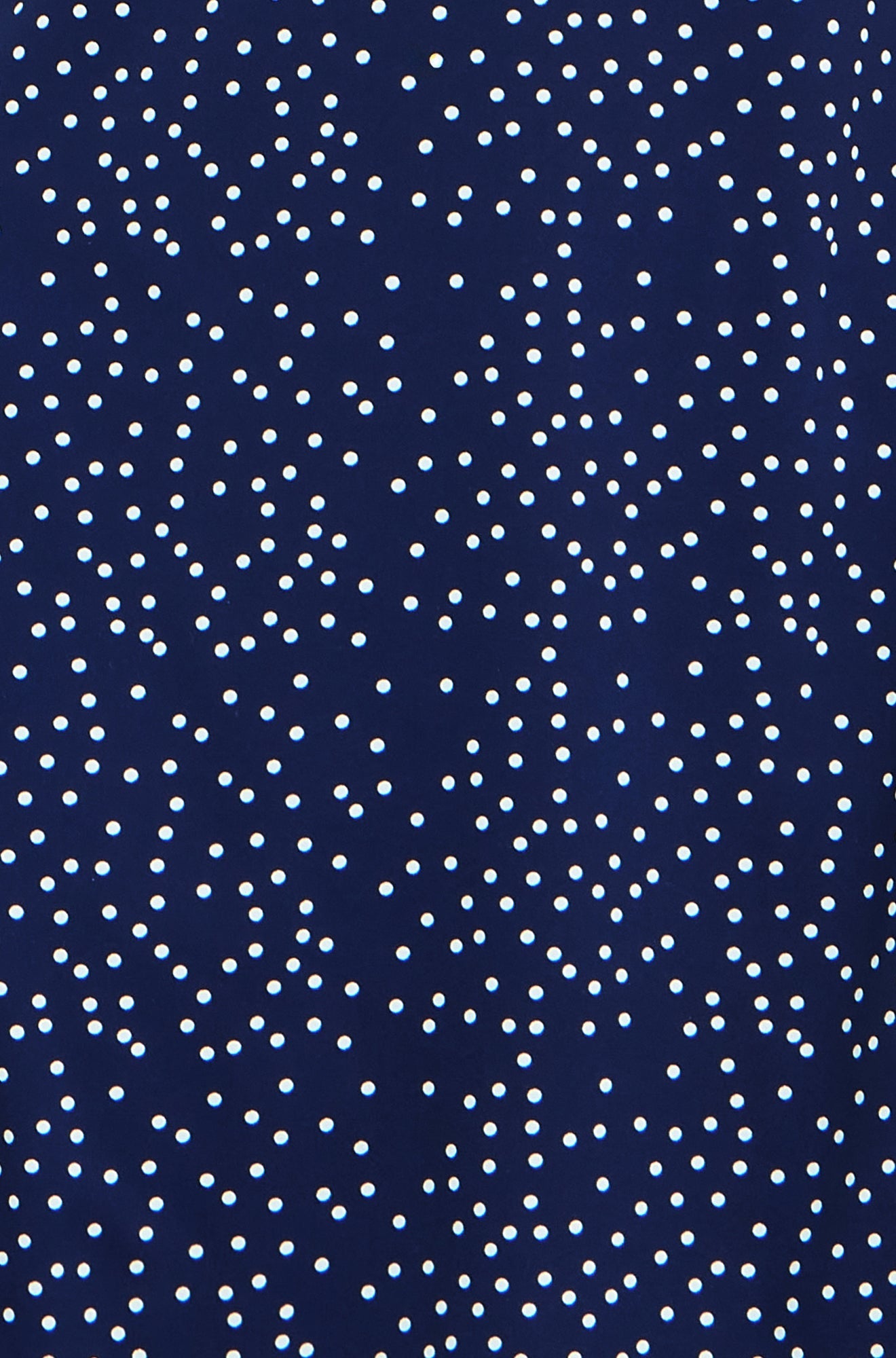 Yumi Navy Spot Print Lace Trim Skater Dress