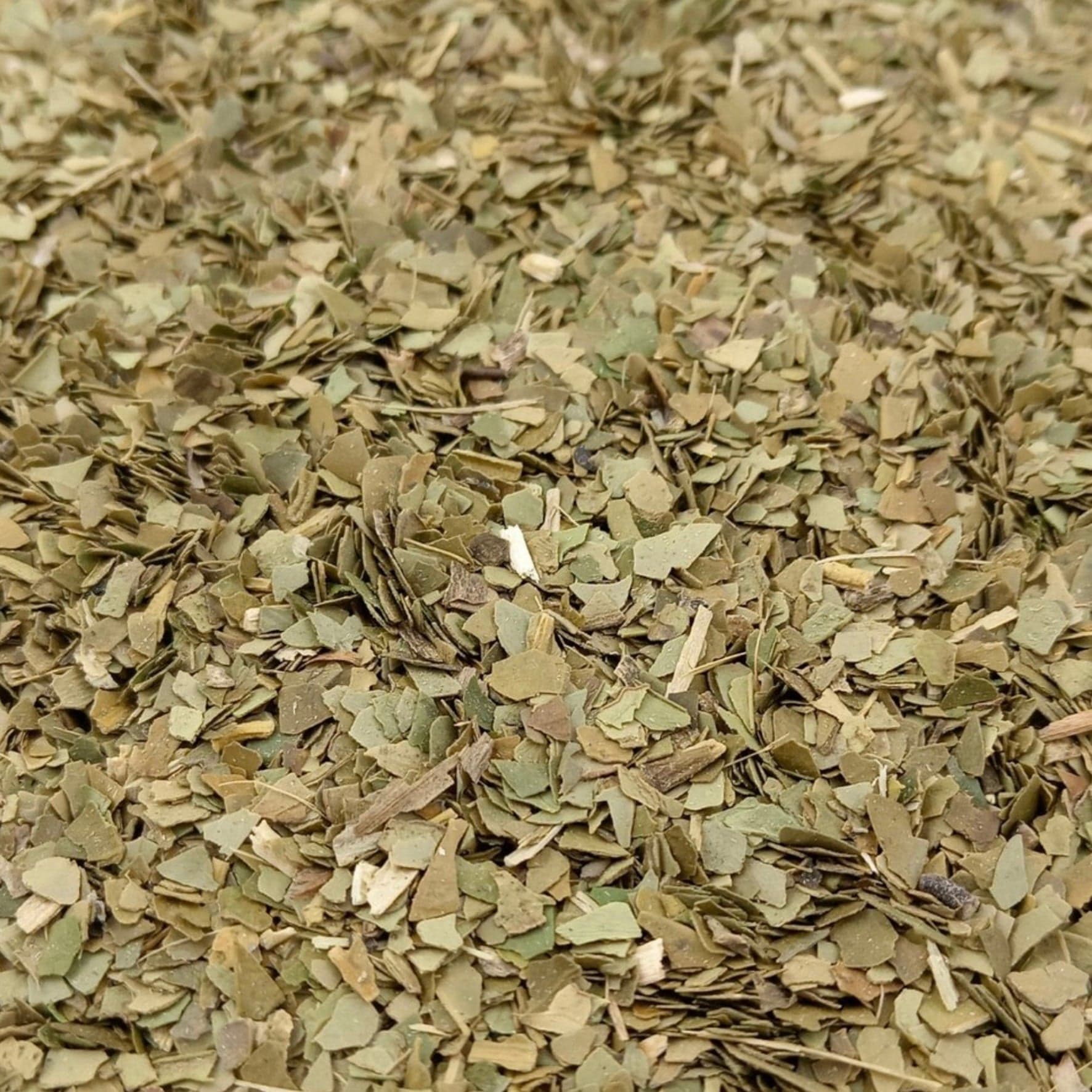 Yerba-Maté