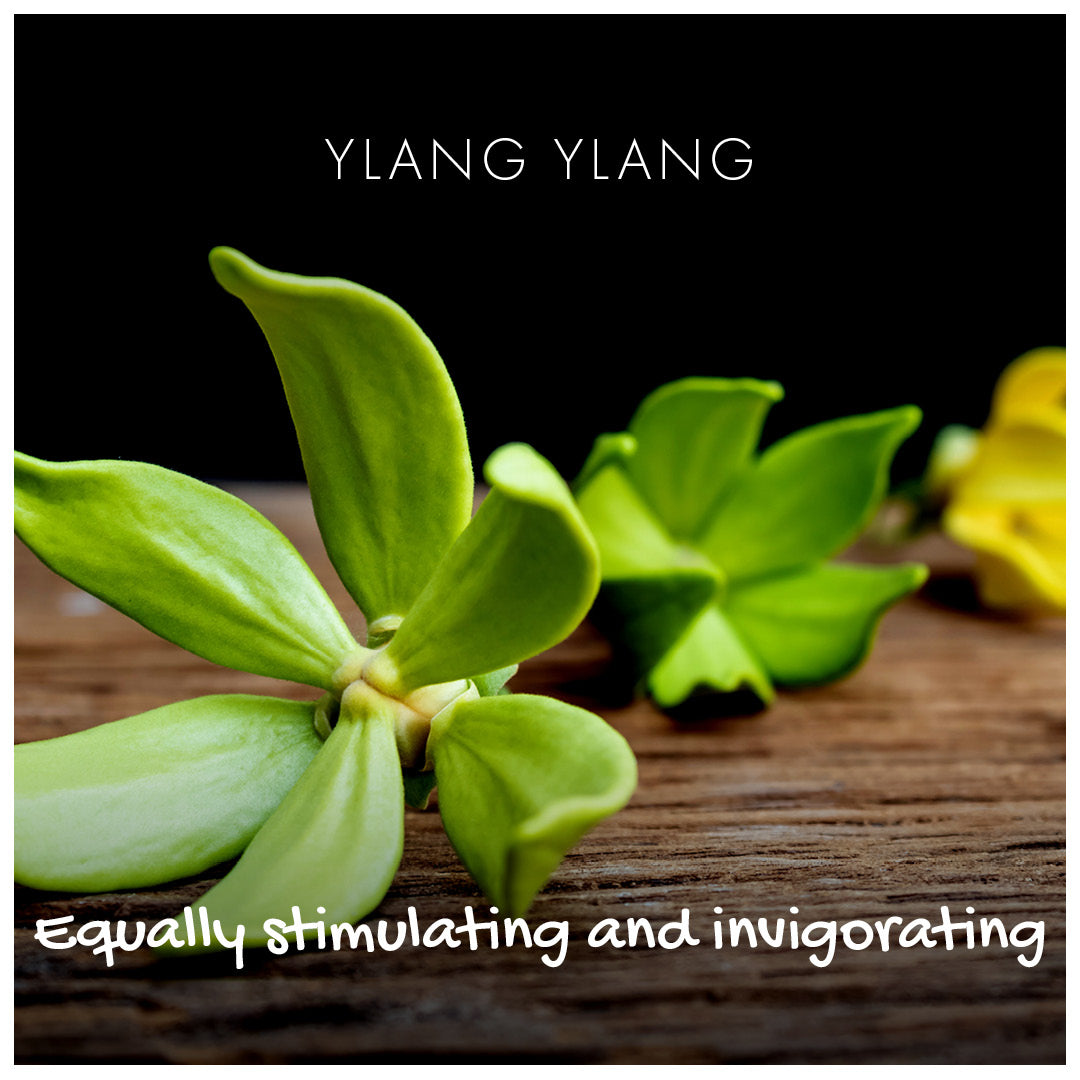 Ylang Ylang Natural Soap Bar