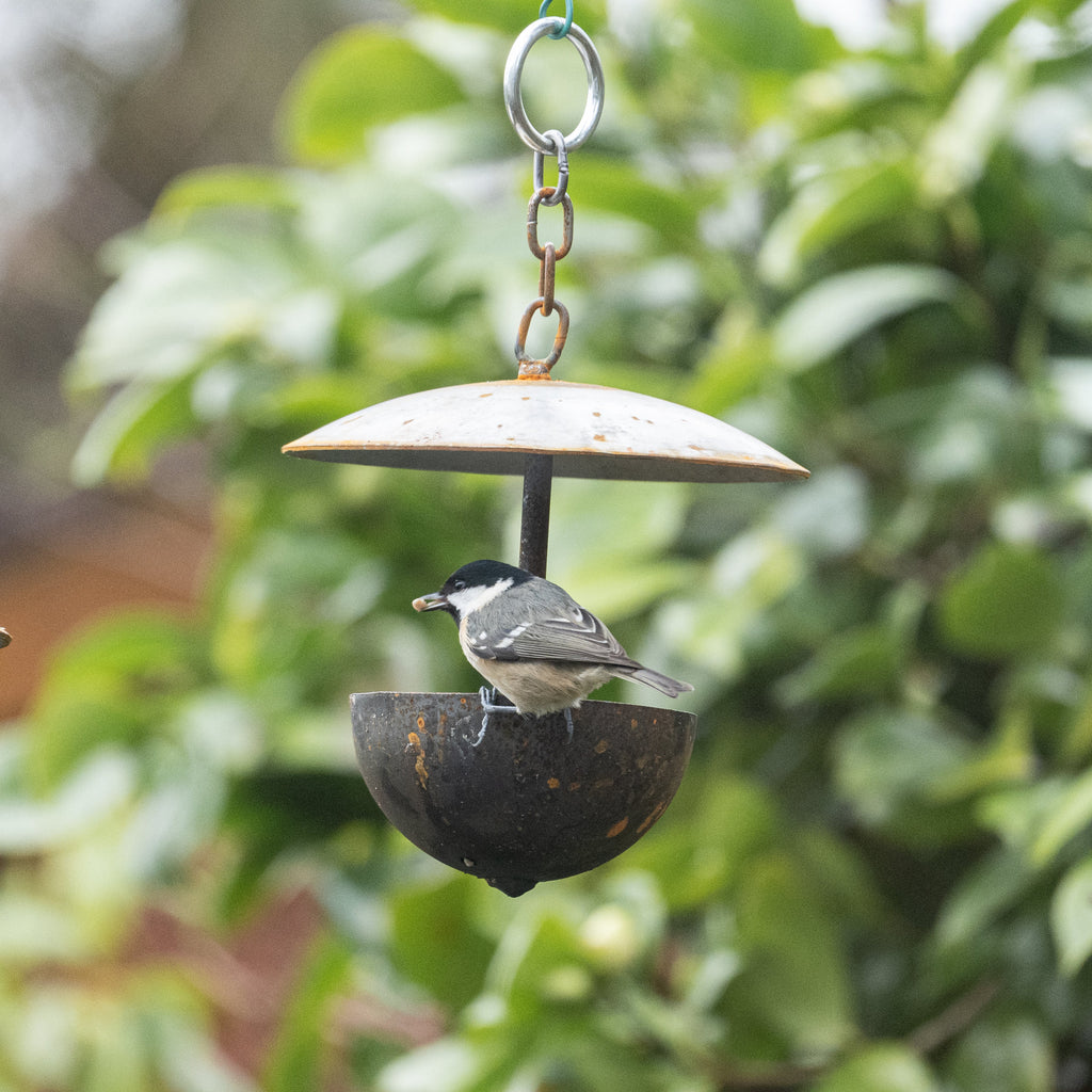 Outdoor Hanging Bird Feeder
